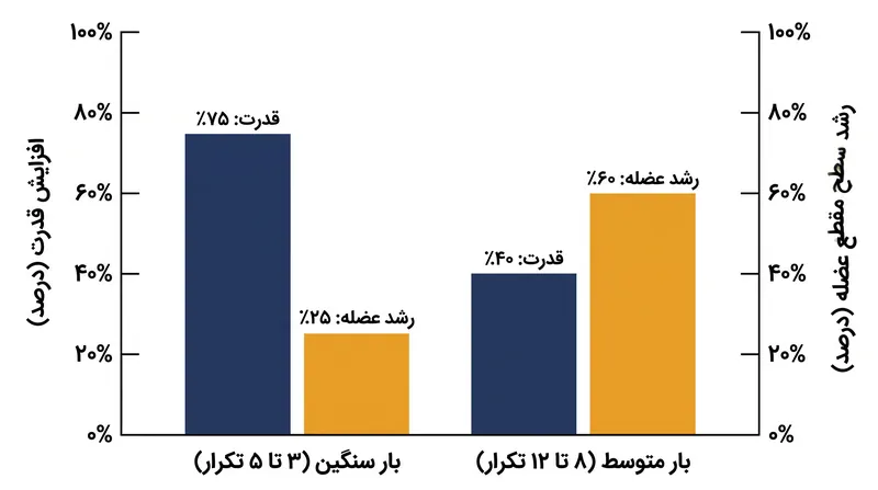 تمرین با وزنه‌های سنگین منجر به افزایش برتر قدرت بیشینه می‌شود، در حالی که هایپرتروفی را می‌توان در محدوده‌های تکرار متعددی به دست آورد.