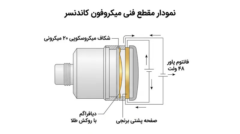 شکاف میکروسکوپی بین دیافراگم و صفحه پشتی، خازن فعالی را تشکیل می‌دهد که فشار صوتی را به سیگنال الکتریکی تبدیل می‌کند.