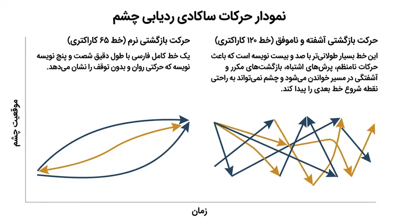 خطوط طولانی باعث «دوگانگی خط» می‌شوند؛ جایی که چشم لنگرگاه عمودی خود را در طول حرکت بازگشتی به حاشیه از دست می‌دهد.