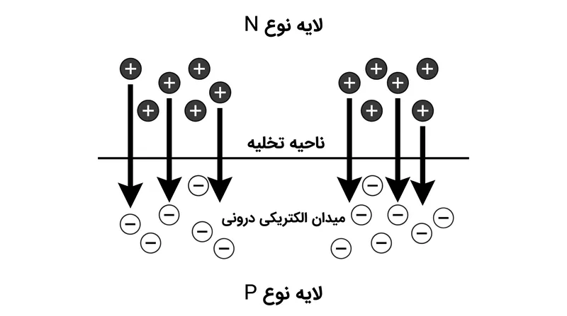 مهاجرت بارها در طول مرز، یک میدان الکتریکی دائمی ایجاد می‌کند که به عنوان ناحیه تخلیه شناخته می‌شود.