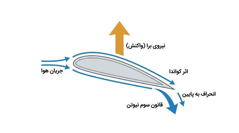 بال هواپیما با خم کردن جریان هوا به سمت پایین روی سطح منحنی خود، یک واکنش برابر و مخالف به سمت بالا ایجاد می‌کند.