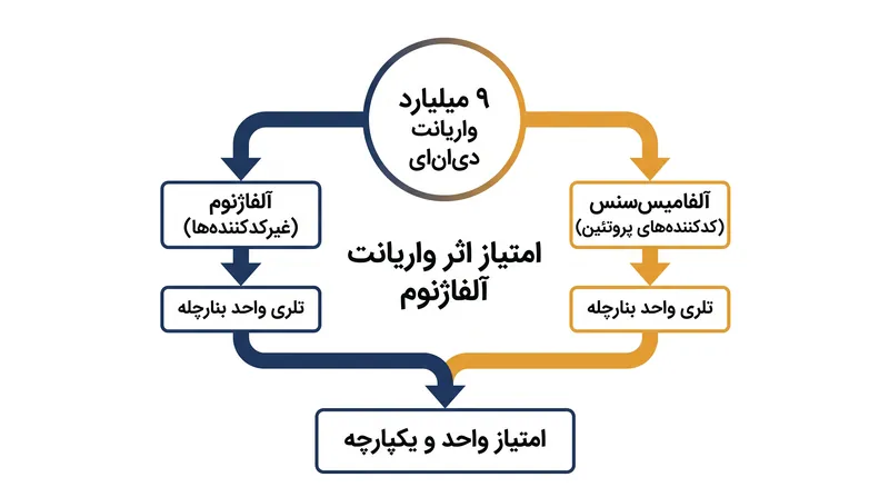 امتیاز اثر واریانت آلفاژنوم (AVI) پیش‌بینی‌های دو مدل مجزای هوش مصنوعی را در یک معیار واحد خلاصه می‌کند.