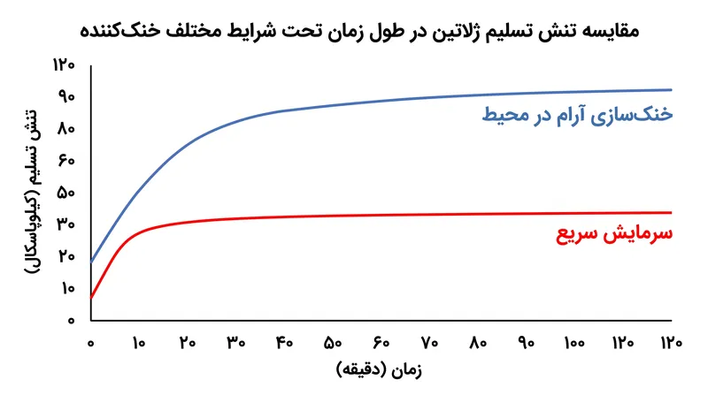 سرمایش سریع، فرآیند تشکیل مارپیچ را نیمه‌کاره می‌گذارد و در نتیجه، شبکه هیدروژلی با مقاومت مکانیکی بسیار پایین‌تری ایجاد می‌شود.