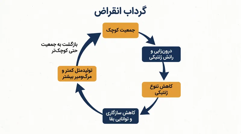زمانی که یک جمعیت به زیر آستانه ژنتیکی خود سقوط می‌کند، وارد گرداب انقراض می‌شود؛ جایی که درون‌زایی و رانش ژنتیکی روند کاهش جمعیت را تسریع می‌کنند.