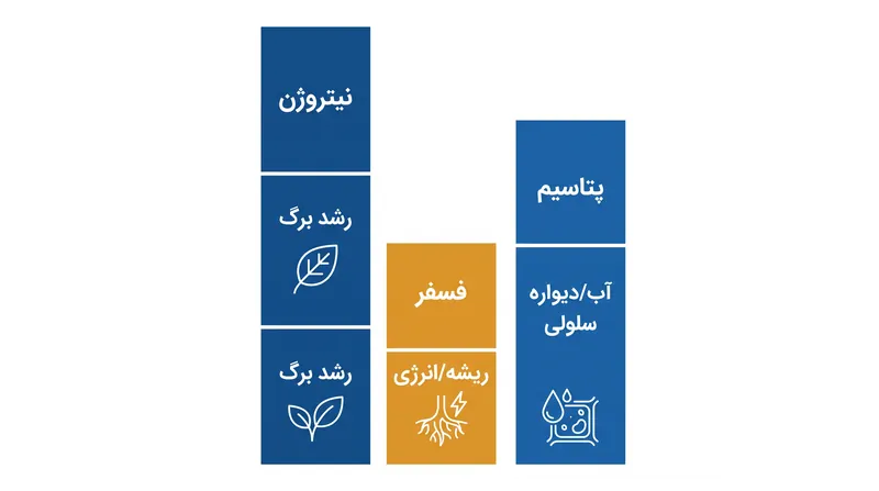 نسبت ۳:۱:۲ دقیقاً بازتاب‌دهنده همان تناسبی از درشت‌مغذی‌هاست که بیشتر گیاهان برگ‌دار از خاک خود استخراج می‌کنند.