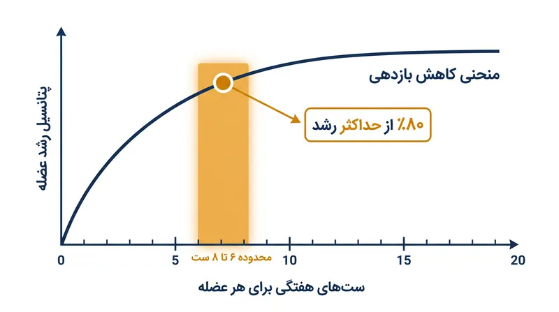منحنی دوز-پاسخ هایپرتروفی نشان‌دهنده رشد سریع در مراحل اولیه است که پس از هشت ست در هفته به حالت کفه و توقف رشد می‌رسد.