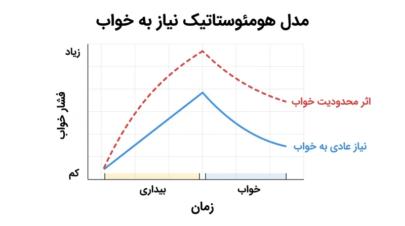 محدودیت خواب به‌طور موقت زمان ماندن در تخت را کاهش می‌دهد تا فشار بیولوژیکی خواب را به‌طور مصنوعی بالا ببرد و فرد را مجبور کند سریع‌تر به خواب برود.