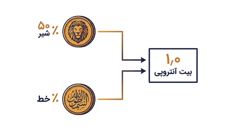 پرتاب یک سکه کاملاً سالم نشان‌دهنده حداکثر عدم قطعیت برای یک سیستم دو حالته است که دقیقاً یک بیت آنتروپی تولید می‌کند.