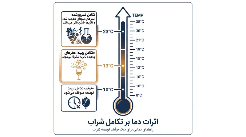 چگونه دما، سرعت و کیفیت واکنش‌های شیمیایی درون بطری را تعیین می‌کند.
