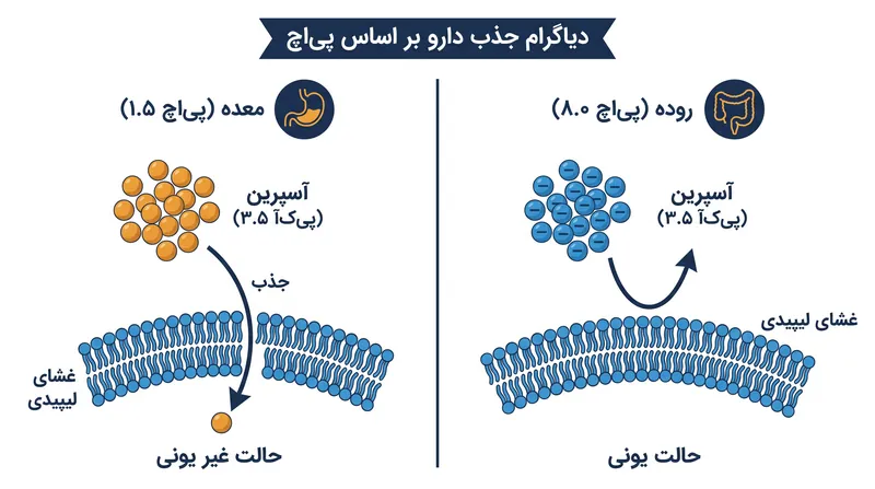 این معادله پیش‌بینی می‌کند که داروهای اسید ضعیف مانند آسپرین در محیط اسیدی معده جذب می‌شوند اما در محیط قلیایی روده به دام می‌افتند.