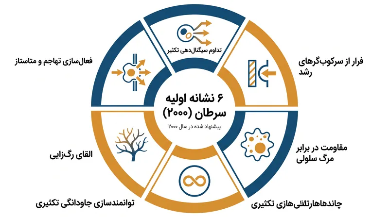 شش نشانه اولیه عمدتاً بر مکانیسم داخلی سلول سرطانی متمرکز بودند.