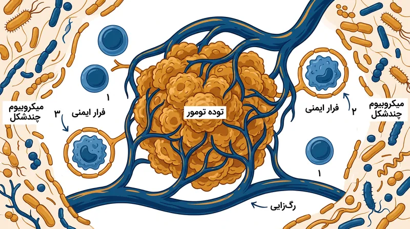 انکولوژی مدرن، تومور را نه به عنوان یک توده منزوی از سلول‌های جهش‌یافته، بلکه به عنوان یک اکوسیستم پیچیده و در حال تکامل می‌بیند.