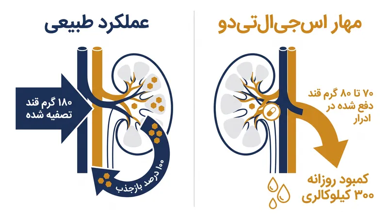 با مسدود کردن انتقال‌دهنده SGLT2، کلیه‌ها روزانه تا ۸۰ گرم قند دفع می‌کنند.