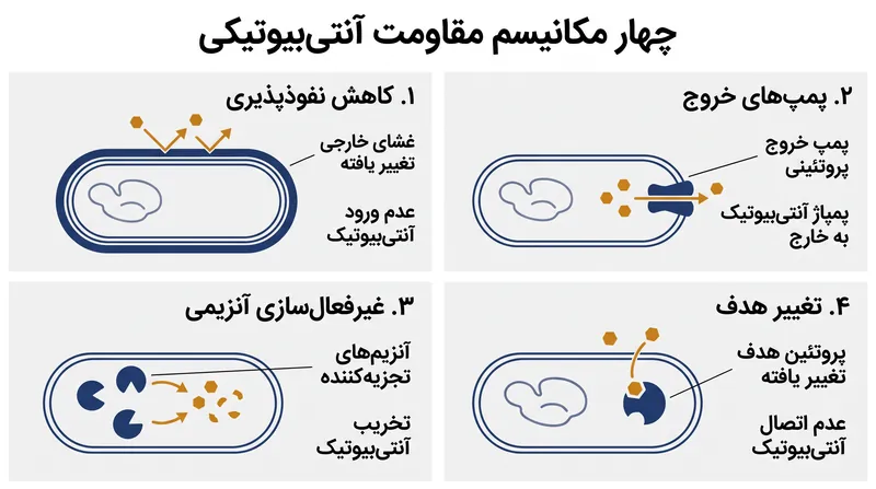 چهار مکانیسم بیوشیمیایی اصلی که باکتری‌ها برای فرار از آنتی‌بیوتیک‌ها استفاده می‌کنند.