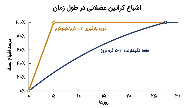 دوره بارگیری ۰.۳ گرم بر کیلوگرم در پنج روز همان کاری را می‌کند که دوز نگهدارنده استاندارد در ۲۸ روز انجام می‌دهد.