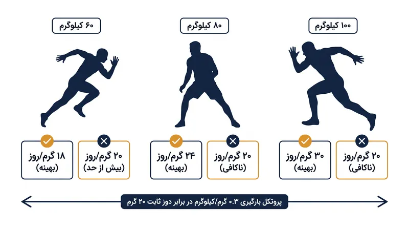 چگونه یک دوز ثابت ۲۰ گرمی برای ورزشکاران سنگین‌وزن کافی نیست، در حالی که برای افراد سبک‌وزن بیش از حد نیاز است.