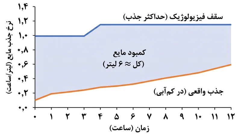 محدودیت جذب دستگاه گوارش تعیین می‌کند که یک ورزشکار با چه سرعتی می‌تواند مایعات از دست رفته را به طور ایمن جایگزین کند.