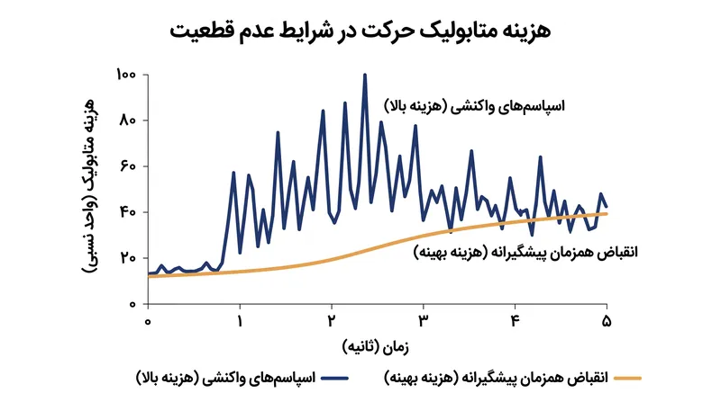 اگرچه انقباض همزمان در شرایط عادی انرژی زیادی می‌طلبد، اما در محیط‌های غیرقابل پیش‌بینی، مجموع تلاش عضلانی را به حداقل می‌رساند.