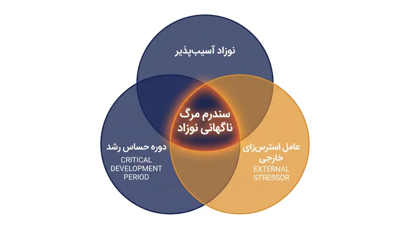 مدل خطر سه‌گانه نشان می‌دهد که سندرم مرگ ناگهانی نوزاد تنها زمانی رخ می‌دهد که سه عامل خاص با هم تلاقی کنند.