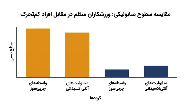 افراد فعال غلظت بسیار بالاتری از ترکیبات واسطه چربی‌سوز و متابولیت‌های آنتی‌اکسیدانی را نشان دادند.