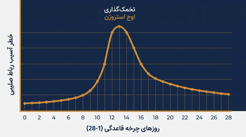 افزایش استروژن در فاز تخمک‌گذاری باعث شلی رباط شده و یک پنجره زمانی با آسیب‌پذیری شدید ایجاد می‌کند.