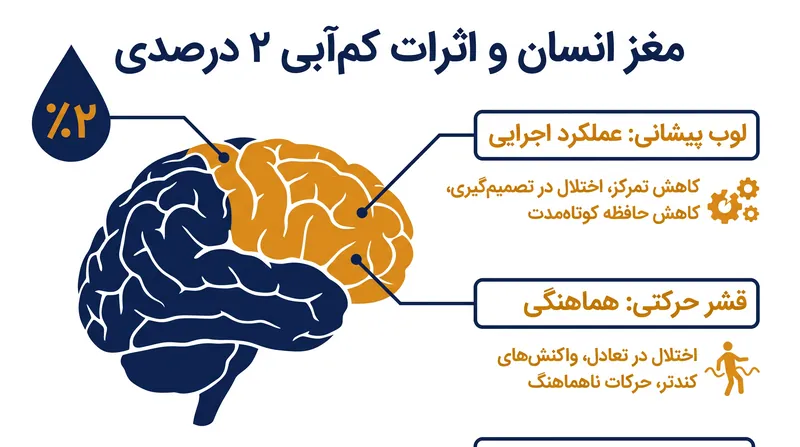 اختلالات شناختی دقیقاً در همان مرز ۲ درصدی رخ می‌دهند که افت توان هوازی آغاز می‌شود.