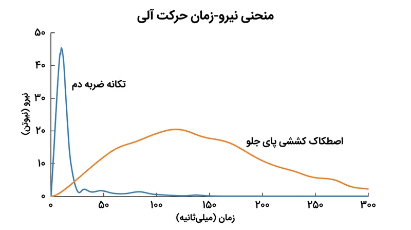 مدل‌های بیومکانیکی نشان می‌دهند که پای جلو باید دقیقاً در لحظه بازگشت تخته از روی آسفالت، با نوار گریپ‌تیپ درگیر شود.