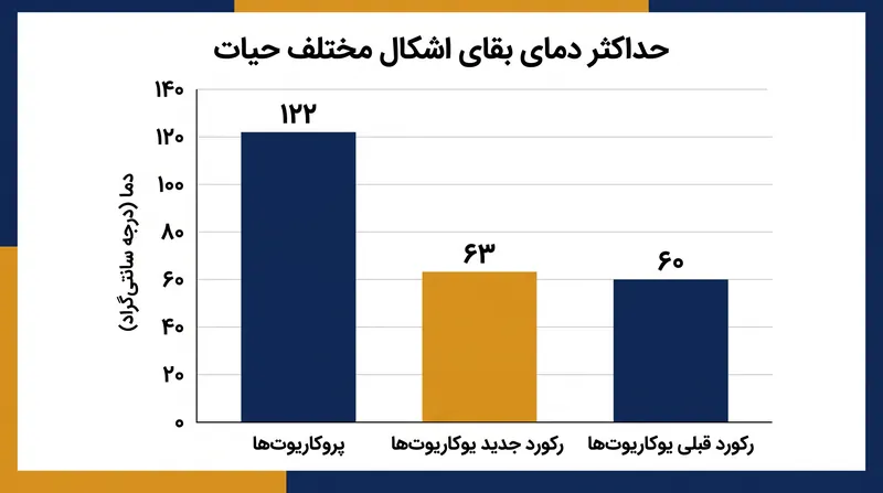 این کشف جدید، حد تحمل حرارتی یوکاریوت‌ها را از آستانه ۶۰ درجه سانتی‌گراد فراتر می‌برد.