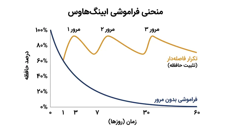 تمرین بازیابی فاصله‌دار، روند طبیعی از بین رفتن حافظه را متوقف کرده و منحنی فراموشی را در طول زمان مسطح می‌کند.