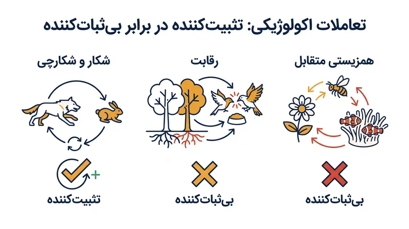 اکولوژی شبکه‌ای مدرن نشان می‌دهد که پویایی شکار و شکارچی به عنوان ضربه‌گیرهای ریاضی عمل می‌کند.
