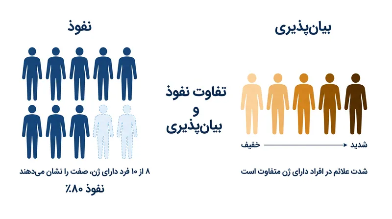 معادله میفلین-سنت جیور از چهار متغیر برای تخمین نرخ متابولیسم پایه استفاده می‌کند.
