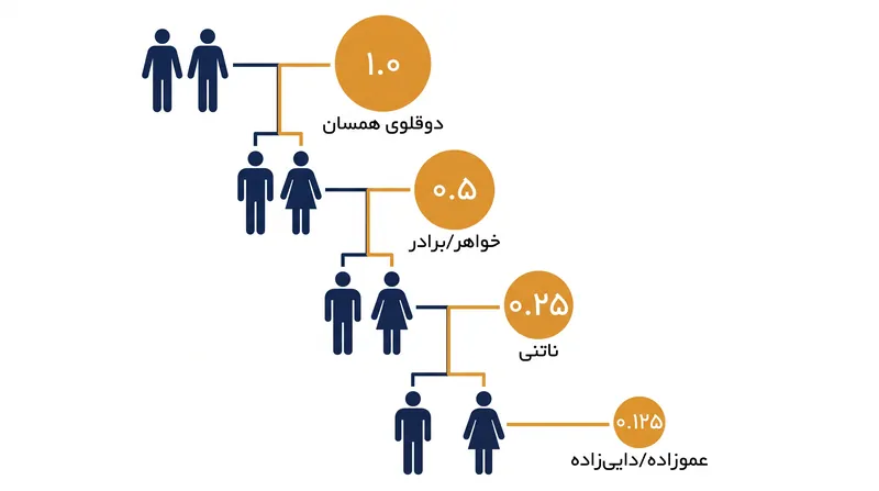 قانون همیلتون برای تعیین سود ژنتیکی اقدامات نوع‌دوستانه، بر ضریب خویشاوندی (r) تکیه دارد.