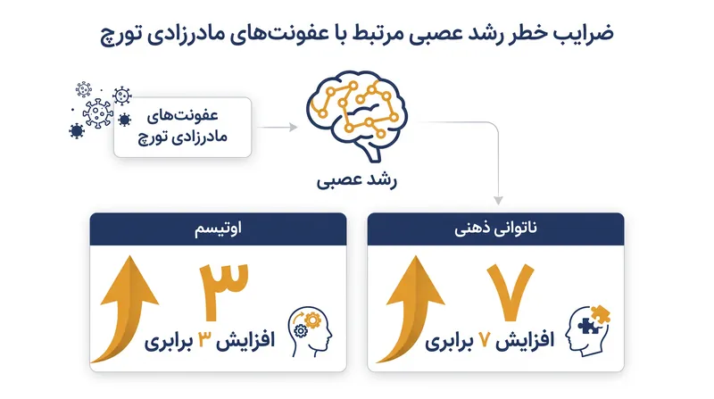 کودکانی که در رحم مادر در معرض عفونت‌های TORCH قرار می‌گیرند، با خطرات بسیار بالاتری برای تشخیص اختلالات رشد عصبی روبرو هستند.
