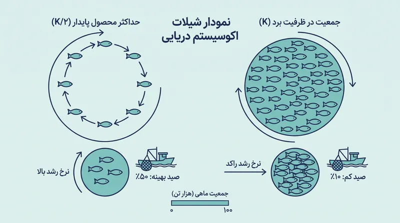 هدف شیلات حفظ جمعیت در K/2 است؛ نقطه‌ای که نرخ رشد بیولوژیکی در بالاترین حد مطلق خود قرار دارد.