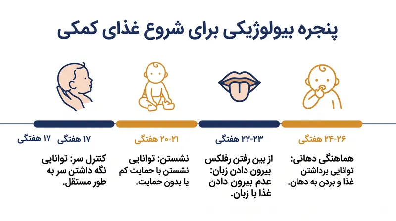 پنجره بیولوژیکی برای شروع غذای جامد معمولاً بین ۱۷ تا ۲۶ هفتگی باز می‌شود، به شرطی که نوزاد آمادگی فیزیکی لازم را نشان دهد.