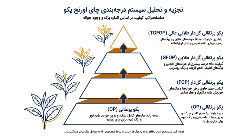 سلسله‌مراتب اورنج پکو از حروف اختصاری برای نشان دادن نسبت جوانه‌های انتهایی بسیار ارزشمند استفاده می‌کند.