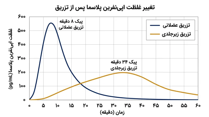 منحنی‌های فارماکوکینتیک نشان‌دهنده سرعت بالای جذب دارو از طریق عضله ران در گردش خون است.
