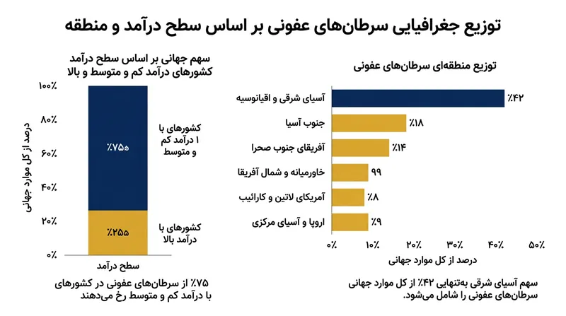 سهم عمده بار سرطان‌های ناشی از عفونت بر دوش کشورهای کم‌درآمد و با درآمد متوسط سنگینی می‌کند.