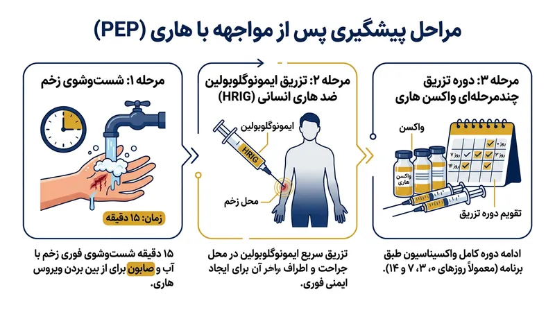 پروتکل سه‌مرحله‌ای اورژانس که با شست‌وشوی زخم، تزریق سرم ضد هاری و واکسیناسیون، ویروس را متوقف می‌کند.