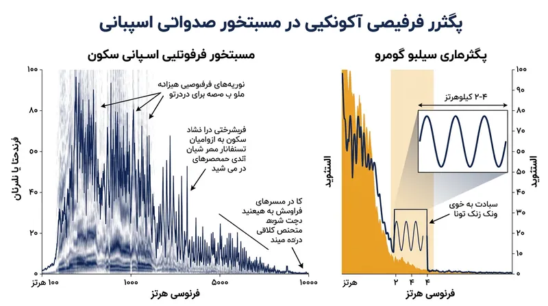 سوت زدن، طیف پیچیده گفتار را به یک موج سینوسی خالص و متمرکز کاهش می‌دهد.