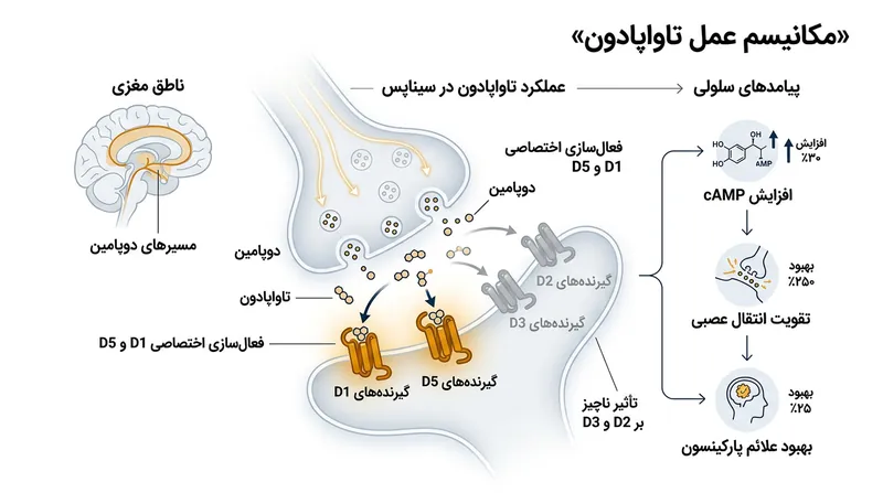 تاواپادون با هدف قرار دادن انتخابی گیرنده‌های D1 و D5، از عوارض جانبی مرتبط با گیرنده‌های D2 و D3 جلوگیری می‌کند.
