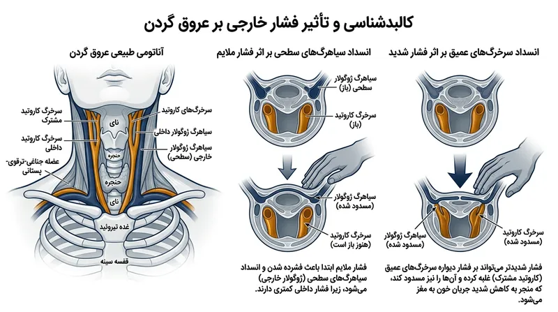 مهارهای عروقی گردن هم سیاهرگ‌های ژوگولار و هم سرخرگ‌های کاروتید را تحت فشار می‌گذارند و با حبس خون، فشار داخل جمجمه را بالا می‌برند.
