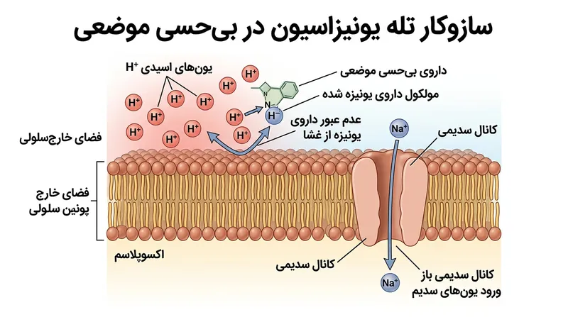 تله یونیزاسیون زمانی شکل می‌گیرد که بار مثبت محیط اسیدی، دارو را آب‌دوست کرده و مانع از رخنه آن به سد چربی غشا می‌شود.