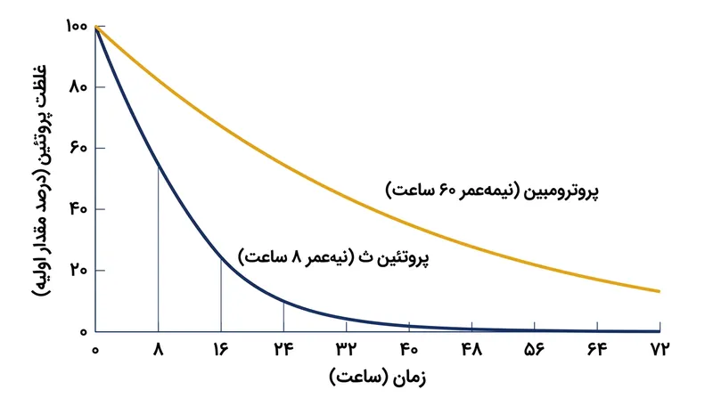 شکاف ترومبوتیک ۶ به ۱: در ۲۴ ساعت نخست، پروتئین C شکننده به سرعت پاک‌سازی می‌شود در حالی که پروترومبین پایدار بدون مهار باقی می‌ماند.