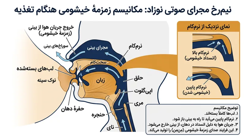 هنگام بسته شدن لب‌های نوزاد در زمان تغذیه، اصوات به‌ناچار از مجرای بینی بیرون می‌آیند و آوای ممتد /m/ را شکل می‌دهند.