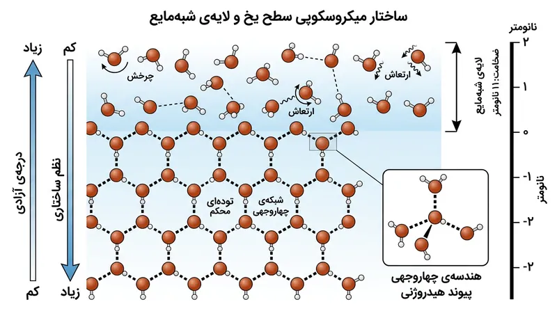 مولکول‌های آب در بیرونی‌ترین لایه پیوندهای لازم برای بلور کامل را ندارند و به حالتی بسیار متحرک وادار می‌شوند.