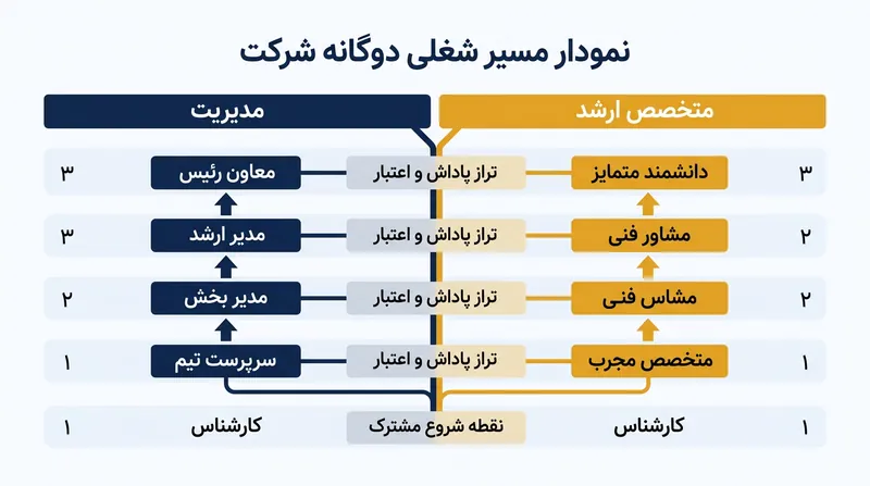 مسیرهای شغلی دوگانه بدون تحمیل مسئولیت‌های اداری به نخبگان فنی، امکان تقدیر مادی و حیثیتی از تخصص را فراهم می‌آورند.