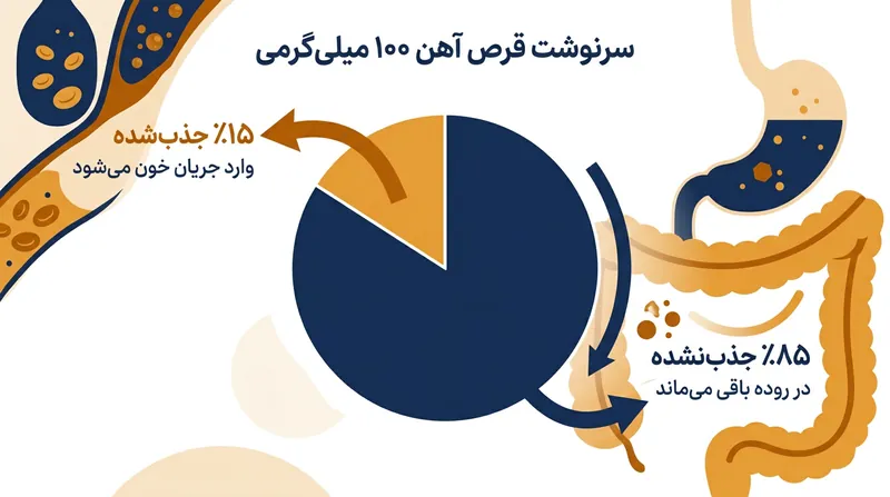 بخش عمده یک قرص آهن روزانه استاندارد هرگز جذب نمی‌شود و باقی‌مانده آن مجرای گوارش را تحریک می‌کند.