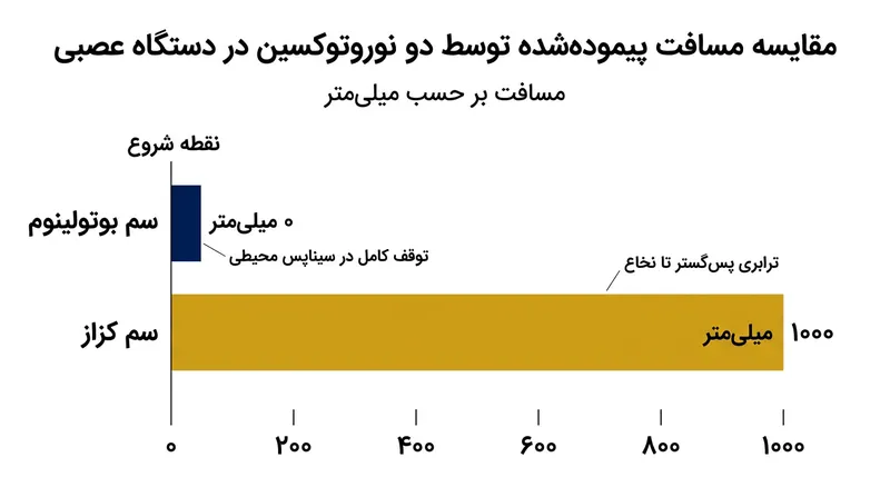 در حالی که بوتولینوم در محل تزریق محیطی زمین‌گیر می‌شود، کزاز با ربودن پروتئین‌های موتور داخلی تا مسافت یک متر به عمق دستگاه عصبی مرکزی نفوذ می‌کند.
