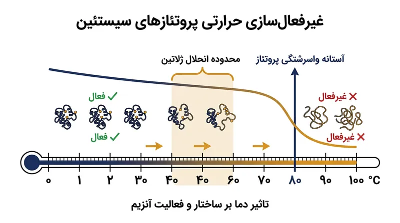 حدود ۴۰ درصد از پورتفولیوهای اولیه به‌دلیل ضعف در پیوند نظری با سرفصل‌ها رد می‌شوند.